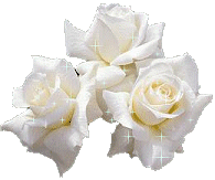 11rose33 11rose33
