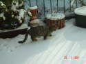 Schnee?