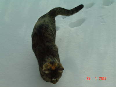 sch�ner als Sommer