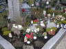 Weihnachten 2011