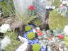 Weihnachten 2011