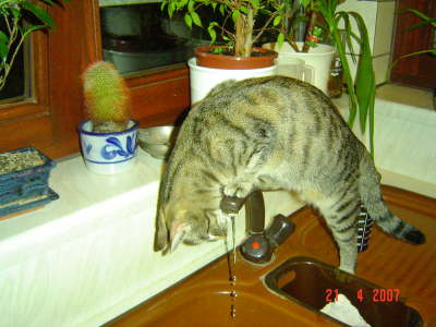 Lieblingsbesch�ftigung