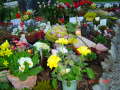 Ostern 2007