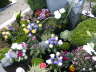 8. Geburtstag